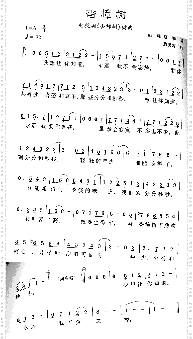 香樟树