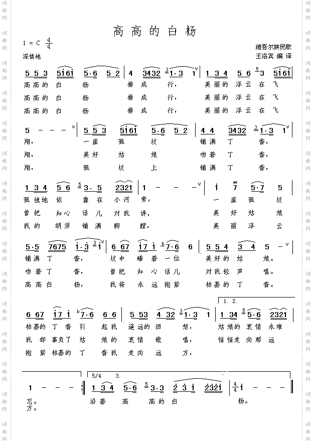 高高的白杨