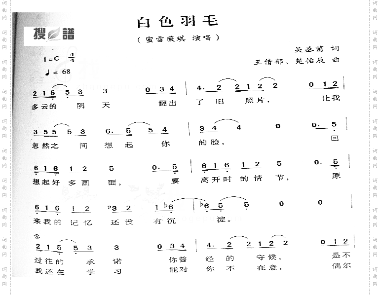 白色羽毛