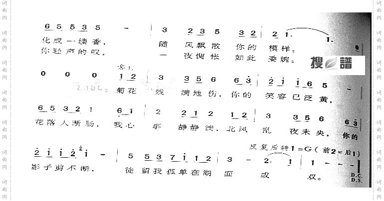 菊花台