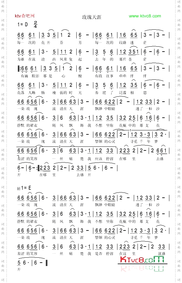 玫瑰天涯