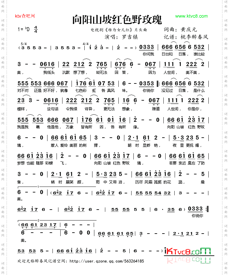 向阳山坡红色野玫瑰