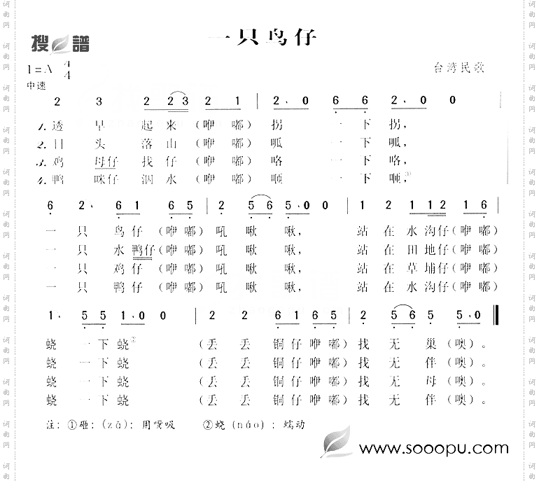 一只鸟仔