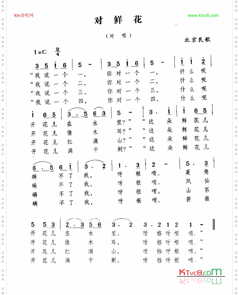 对鲜花