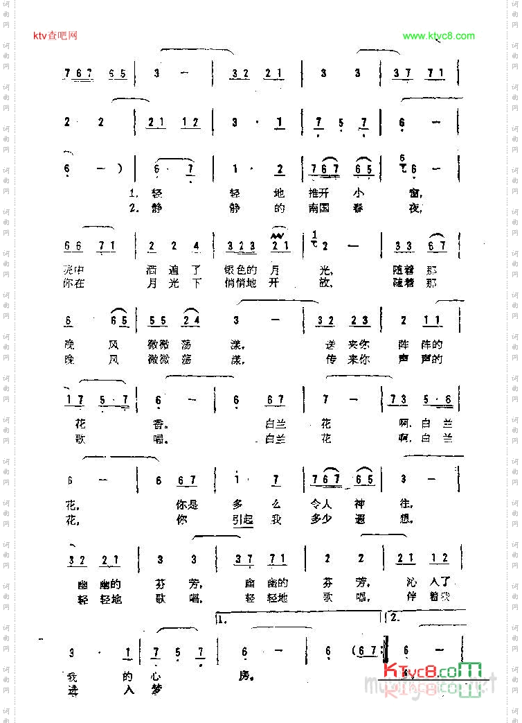 白兰花