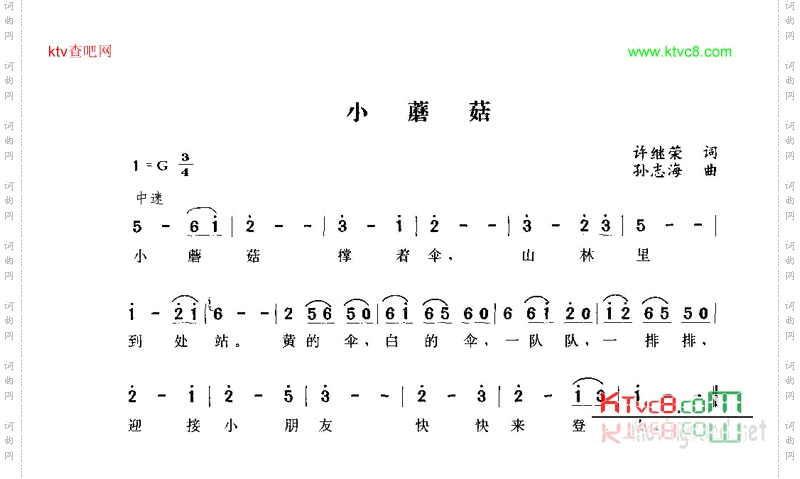 小蘑菇