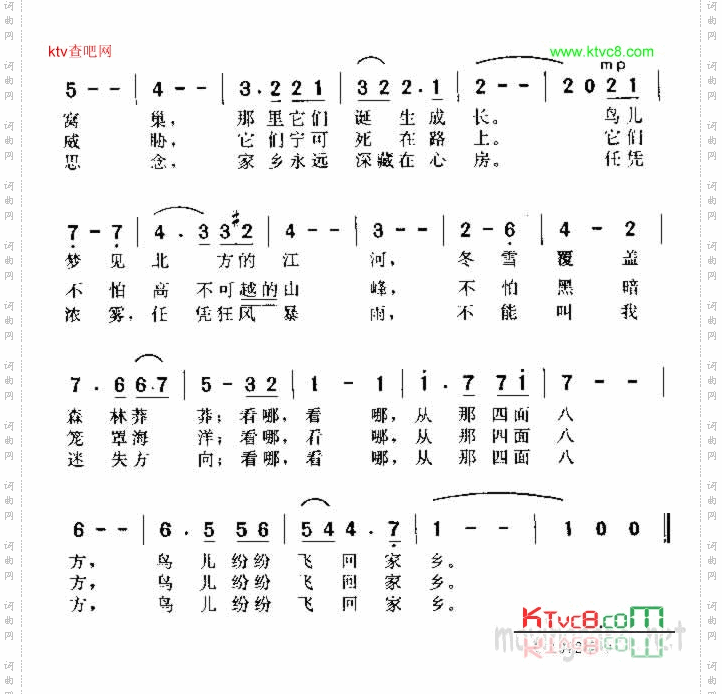 鸟儿飞回家乡