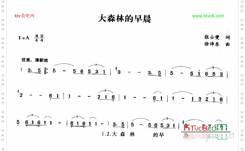 大森林的早晨