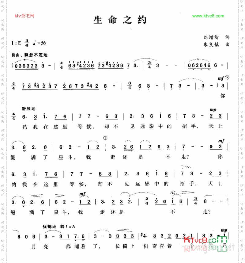 生命之约