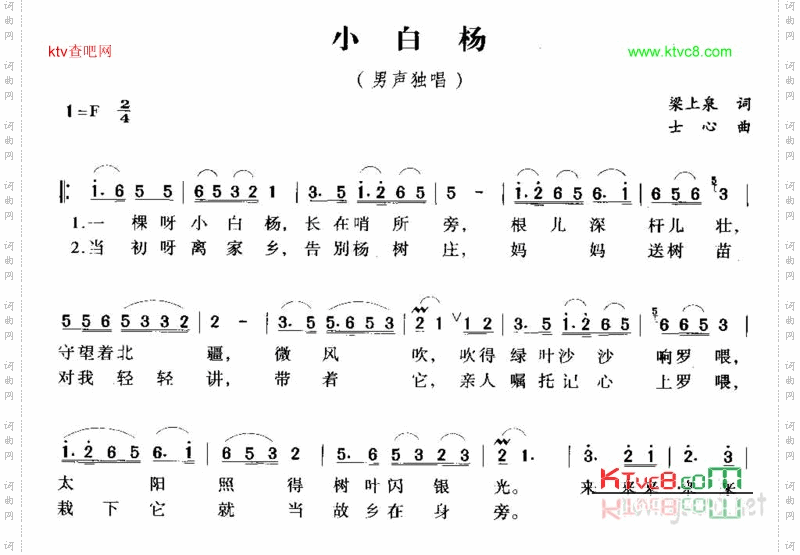 小白杨