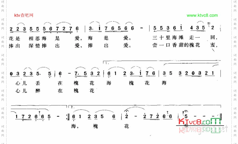 槐花海
