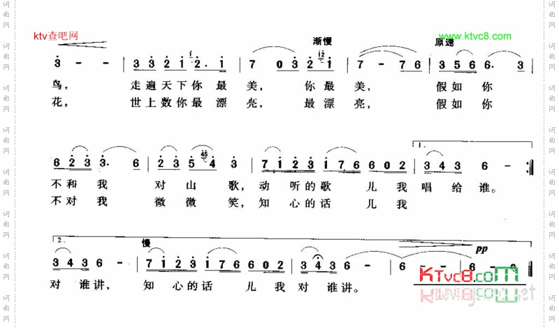 心上人像达玛花