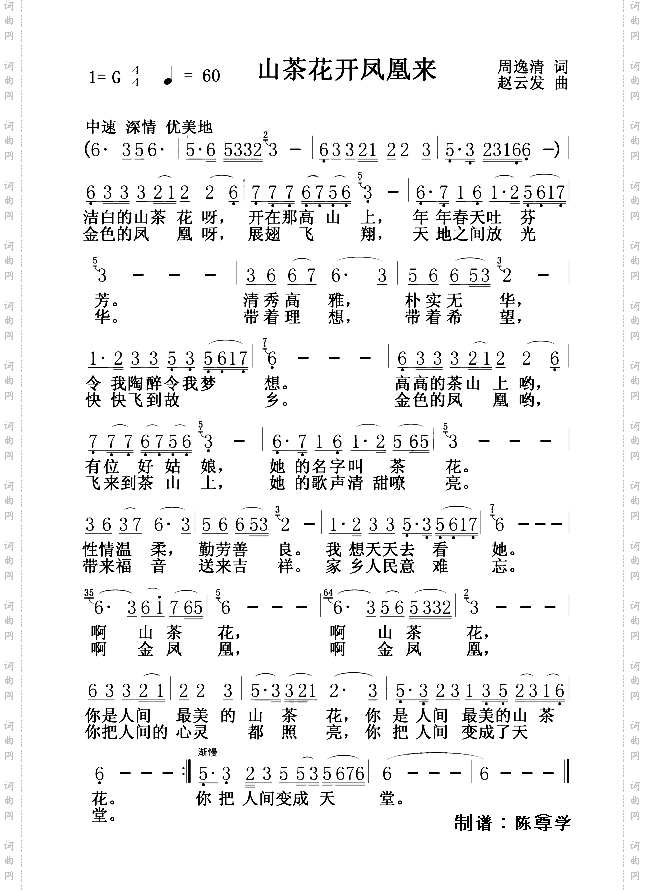 山茶花开凤凰来