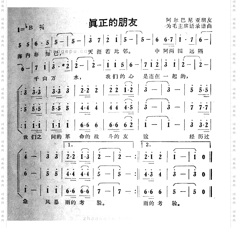真正的朋友