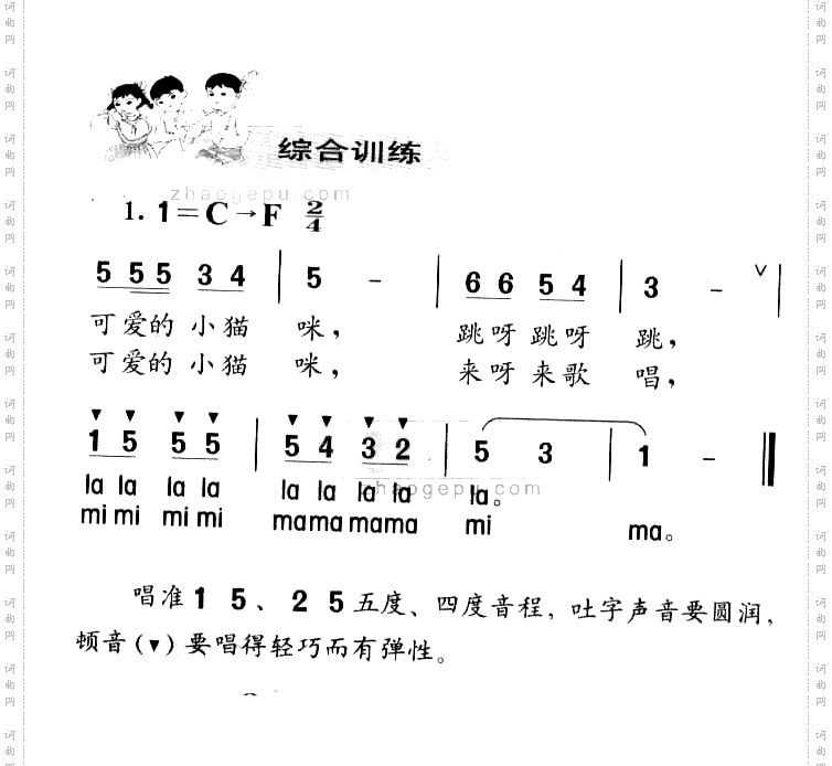 可爱的小猫咪