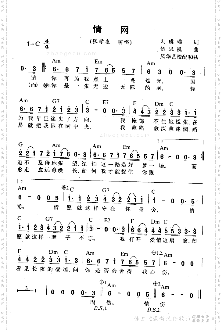 情网