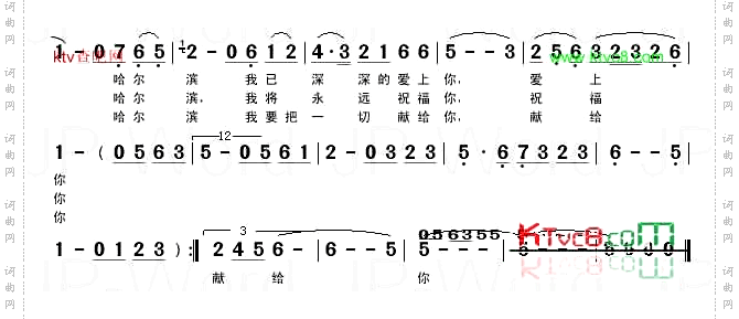 我的哈尔滨