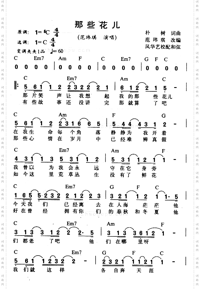 那些花儿
