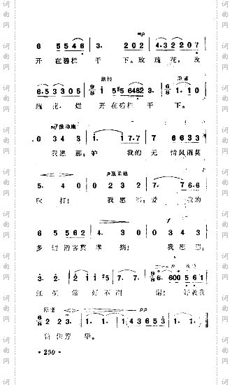 玫瑰三愿