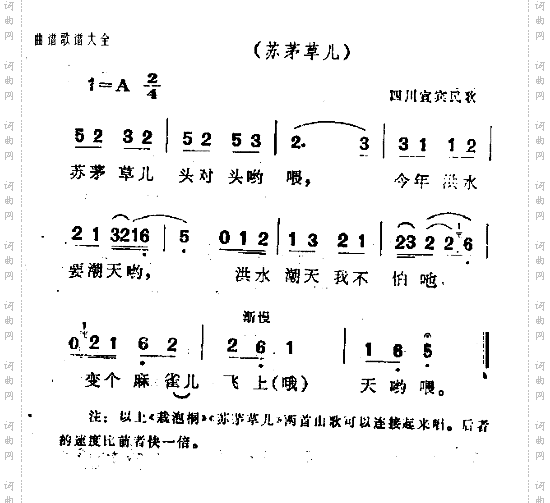 载泡桐