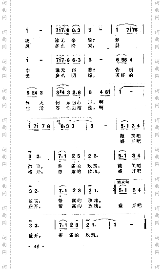 代露的玫瑰