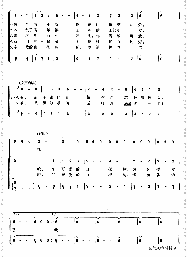 山楂树
