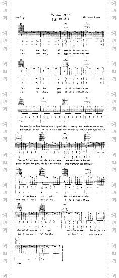 YellowBird金丝雀