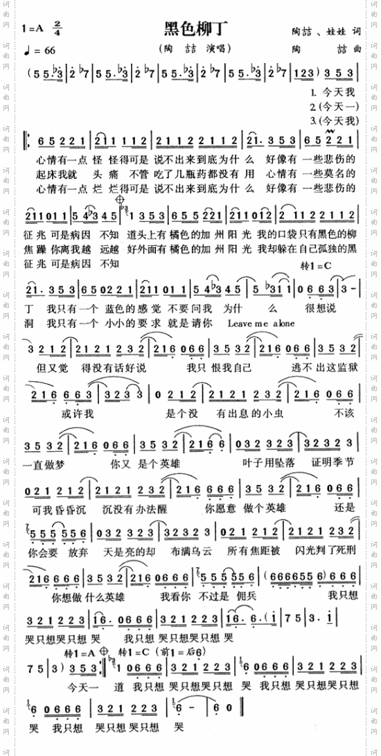 黑色柳丁