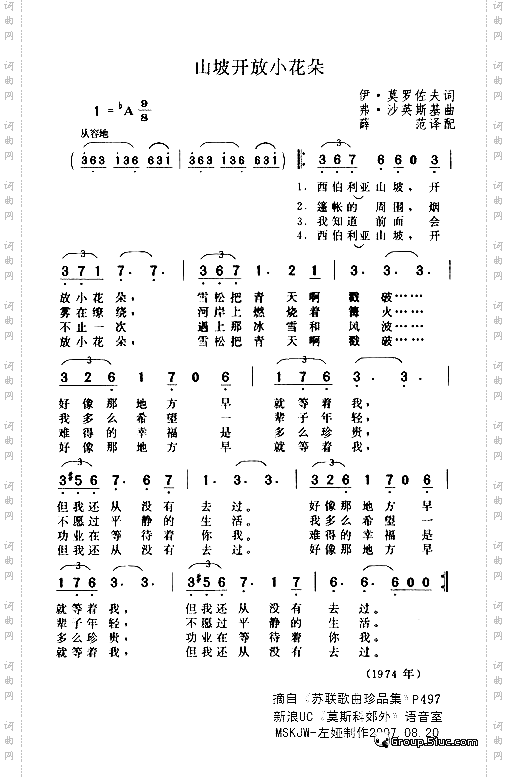 山坡开放小花朵