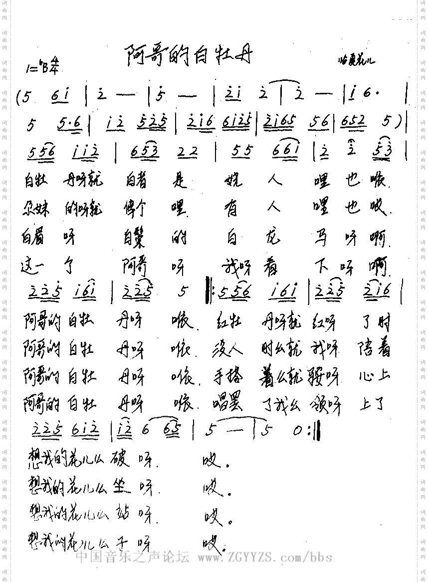 阿哥的白牡丹