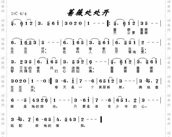 蔷薇处处开