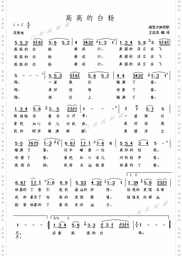高高的白杨