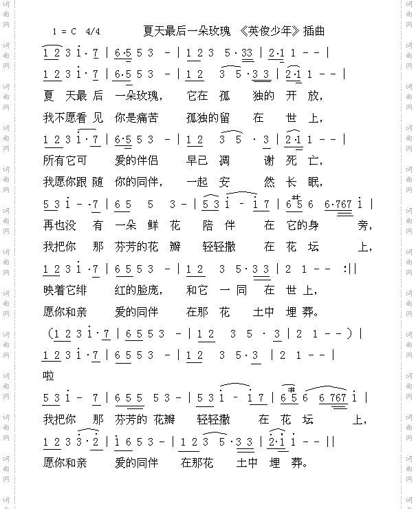 夏日的最后一朵玫瑰