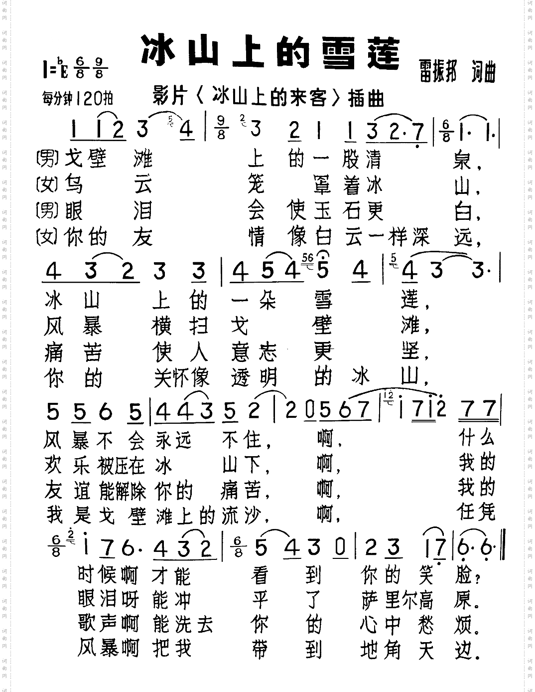 冰山上的雪莲