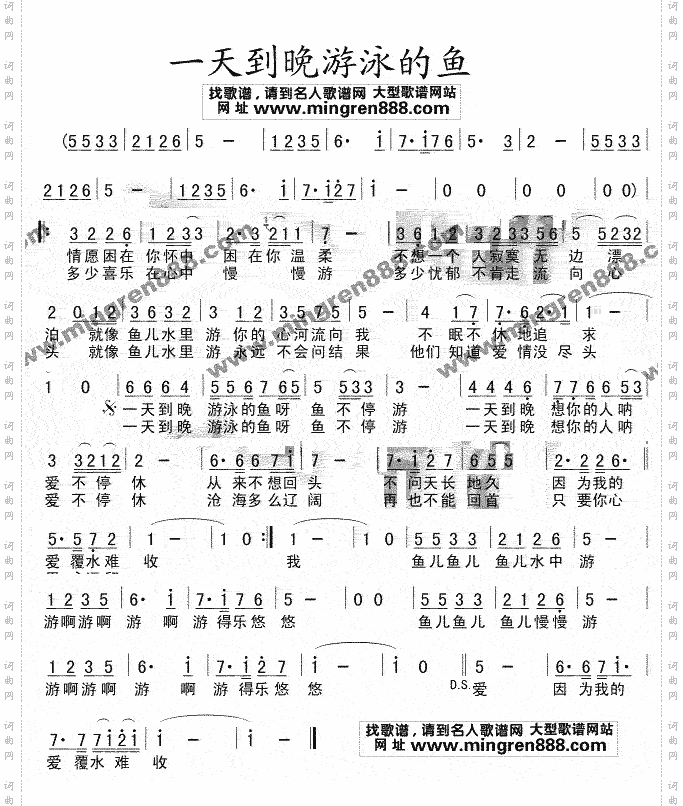一天到晚游泳的鱼