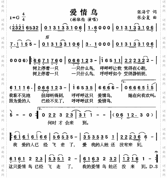 爱情鸟