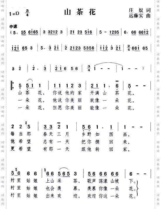 山茶花