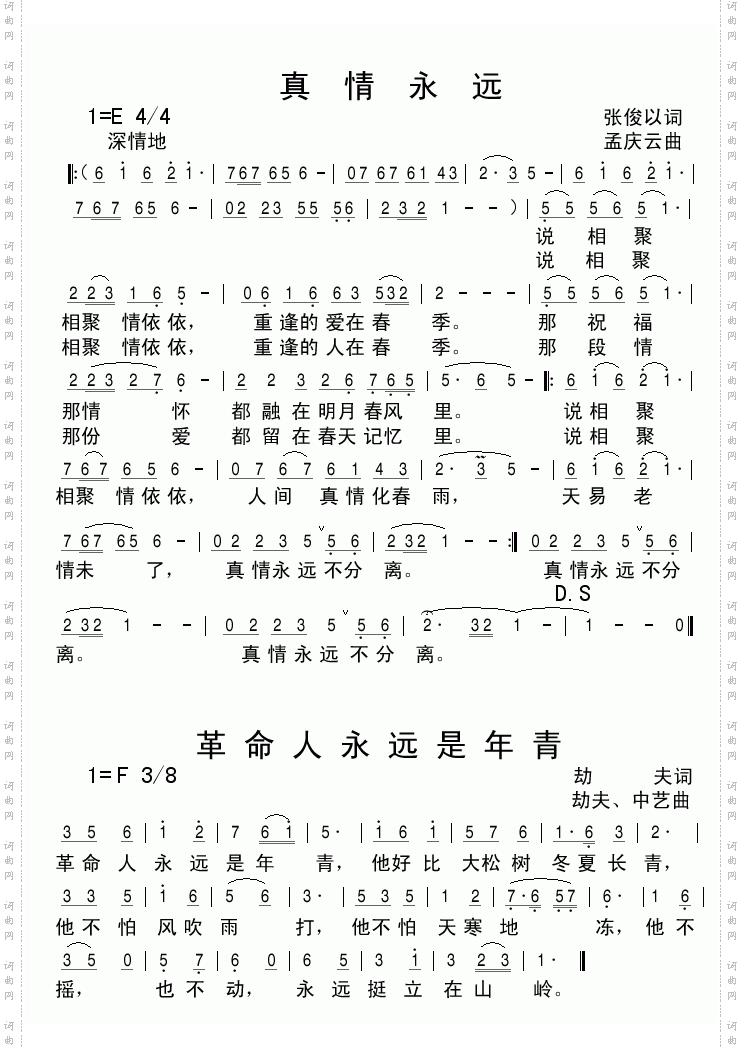 真情永远