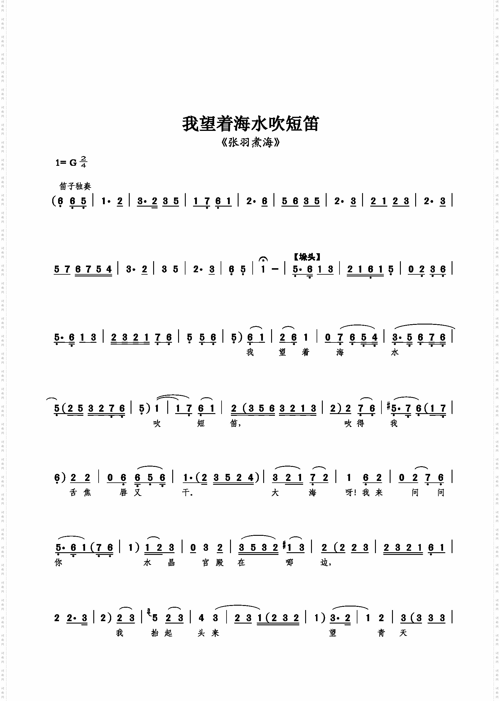 我望着海水吹短笛