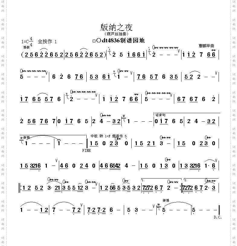 版纳之夜