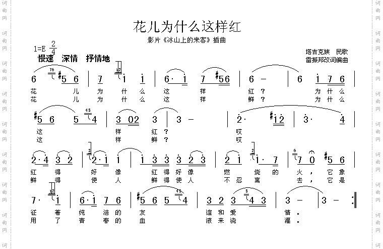 花儿为什么这样红高清晰图