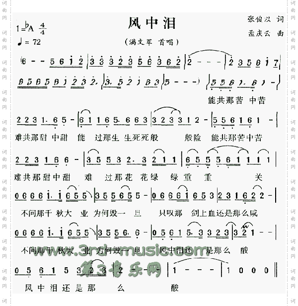 风中泪