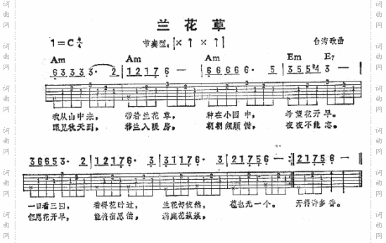 兰花草