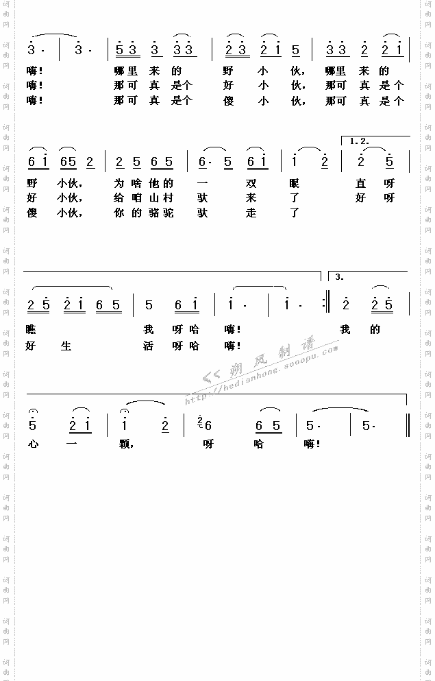 拉骆驼的黑小伙