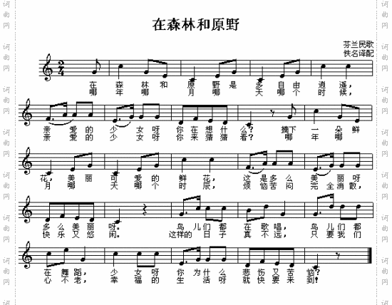 在森林和原野