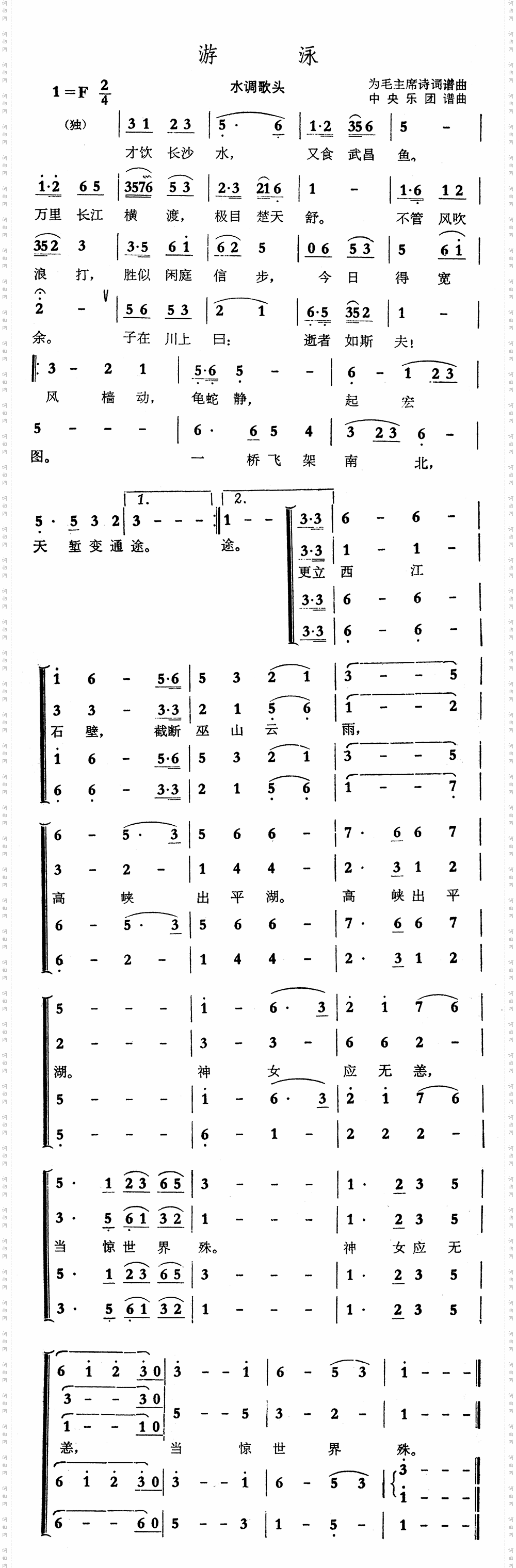 游泳
