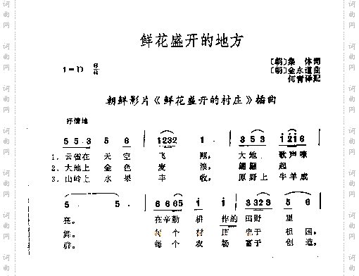 鲜花盛开的地方