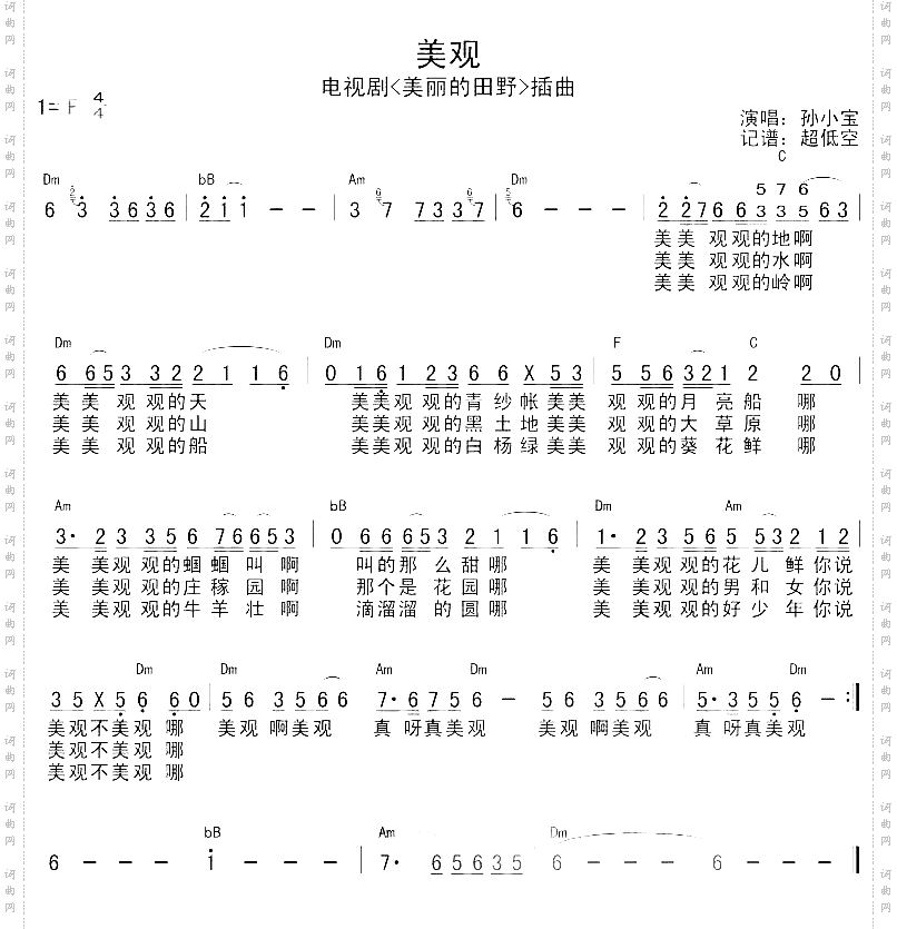 美观