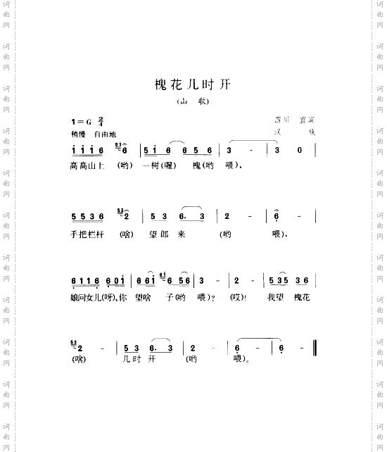 槐花几时开山歌