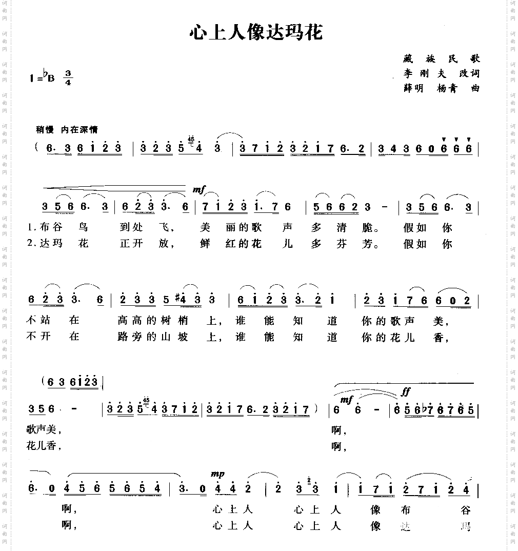 心上人像达玛花